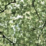 Eighth image from the photoset 'press'.