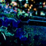 Image: First image from the photoset 'glow (i)'.