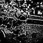 Image: Fourth image from the photoset 'glow (i)'.