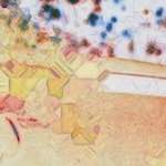 Image: Fifth image from the photoset 'glow (i)'.