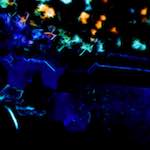 Image: Seventh image from the photoset 'glow (i)'.