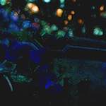 Image: Third image from the photoset 'glow (ii)'.