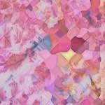 image: Image from the photoset ‘
glow (iii)
’.