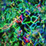 image: Image from the photoset ‘
glow (iii)
’.