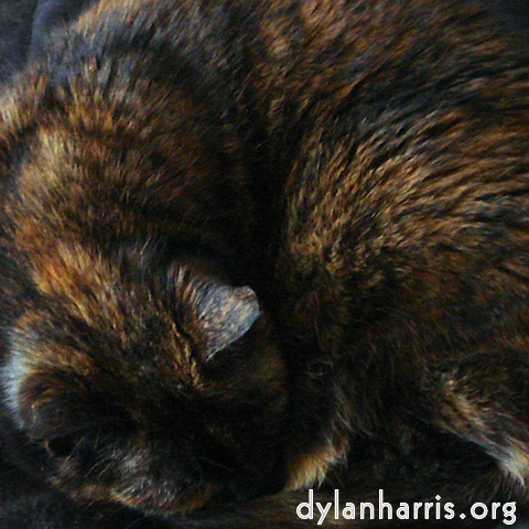 Image: Image 'see nerd (i) 10'.