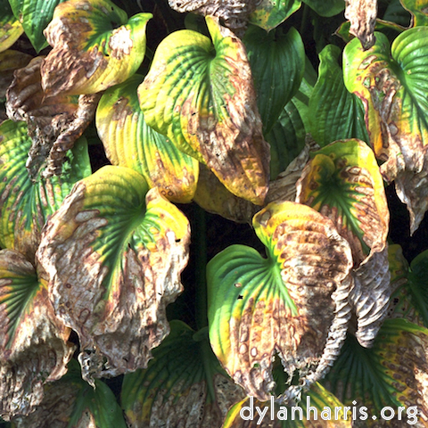 Image: Image 'see nerd (i) 15'.