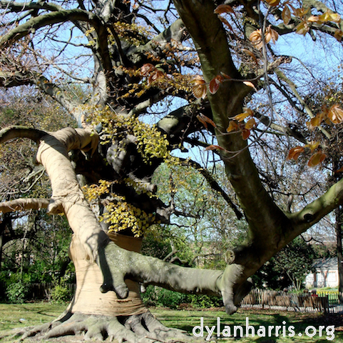 Image 'see nerd (i) 3'.