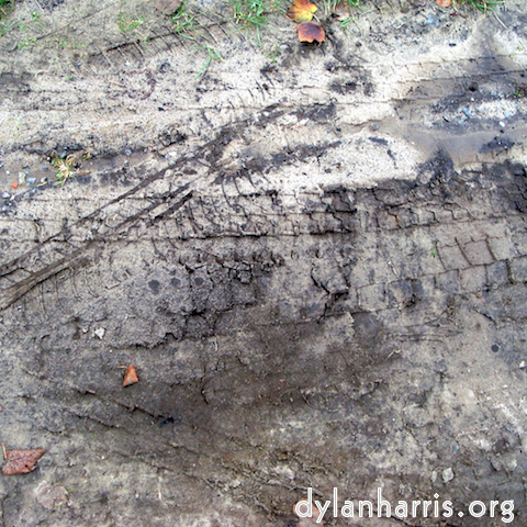 Image 'see nerd (i) 9'.