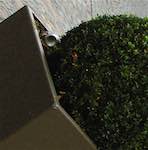 Image: Seventh image from the photoset 'see nerd (i)'.