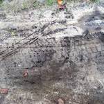 Image: Ninth image from the photoset 'see nerd (i)'.