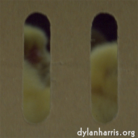 Image: Image 'see nerd (ii) 2'.