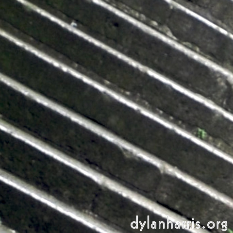 Image: Image 'see nerd (ii) 4'.