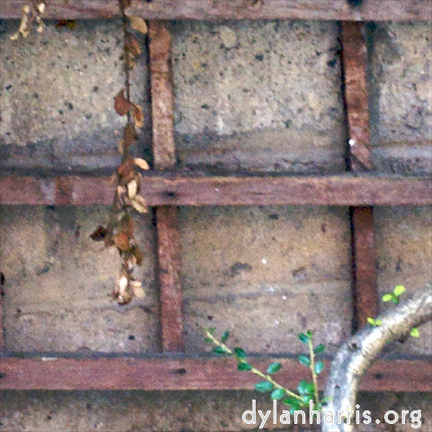 Image: Image 'see nerd (ii) 5'.