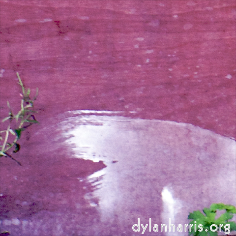 Image 'see nerd (ii) 7'.