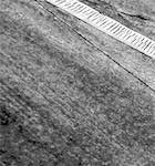 Image: Fifteenth image from the photoset 'see nerd (ii)'.