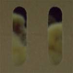 Image: Second image from the photoset 'see nerd (ii)'.