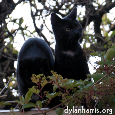 Image: Image 'see nerd (iii) 10'.