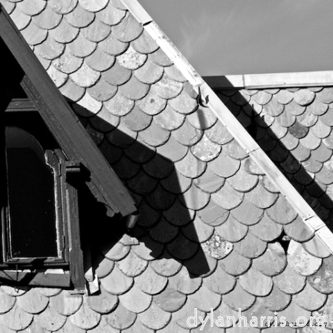 Image: Image 'see nerd (iii) 12'.