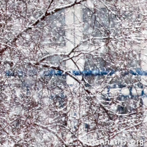 Image 'see nerd (iv) 11'.