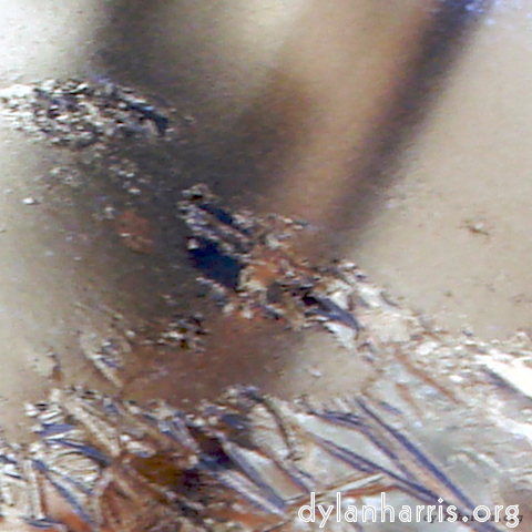 Image 'see nerd (iv) 13'.