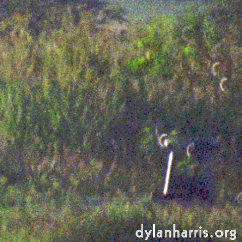 Image 'see nerd (iv) 15'.