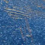 First image from the photoset 'see nerd (iv)'.