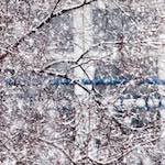 Eleventh image from the photoset 'see nerd (iv)'.