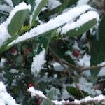 Twelfth image from the photoset 'see nerd (iv)'.