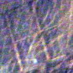 Fifth image from the photoset 'see nerd (iv)'.