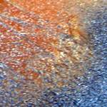 Ninth image from the photoset 'see nerd (iv)'.