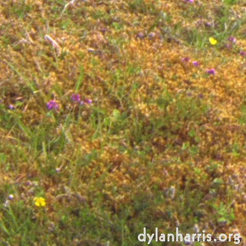 Image: Image 'see nerd (v) 1'.