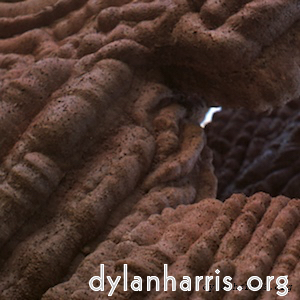 Image: Image 'see nerd (vi) 3'.