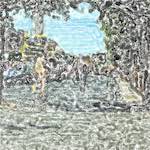 Image: Fourteenth image from the photoset 'see nerd (vi)'.