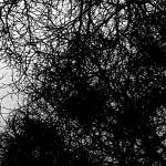 Image: Sixteenth image from the photoset 'see nerd (vi)'.