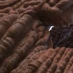 Image: Third image from the photoset 'see nerd (vi)'.