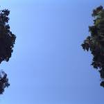 Image: Eighth image from the photoset 'see nerd (vi)'.