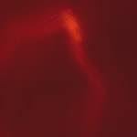 Image: Ninth image from the photoset 'see nerd (vi)'.