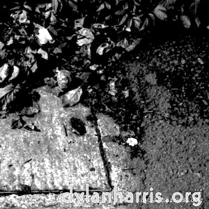 Image: Image 'tannoy (i) 9'.