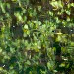 Image: Third image from the photoset 'tannoy (i)'.