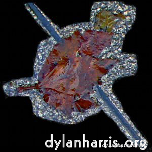 Image 'tannoy (ii) 5'.