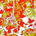 Image: Fourth image from the photoset 'tannoy (ii)'.