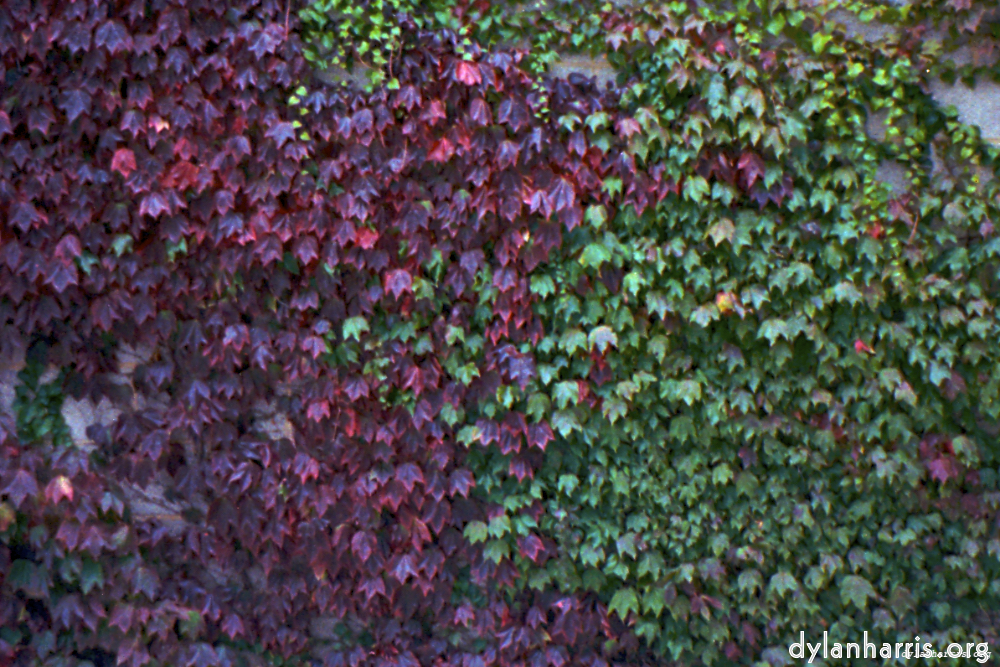 Image 'texture (iii) 11'.