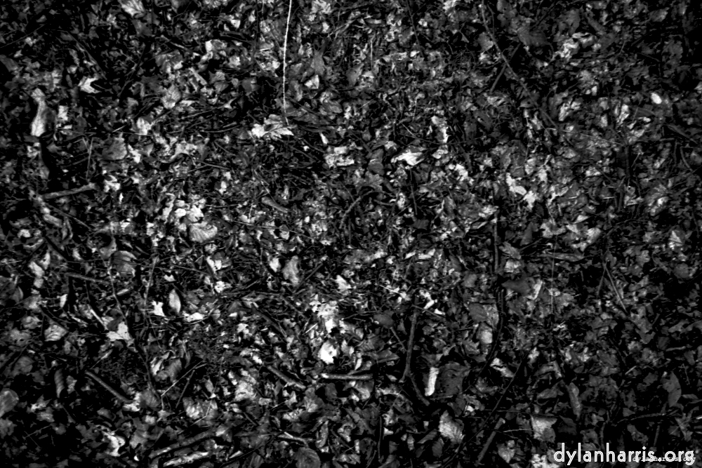 Image: Image 'texture (iii) 12'.