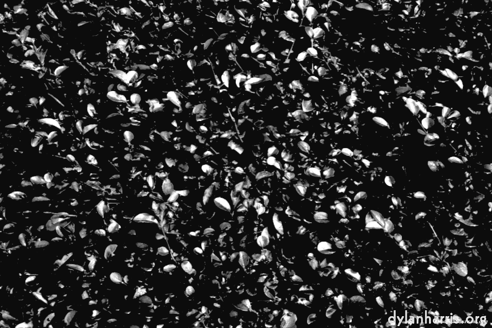 Image: Image 'texture (iii) 14'.