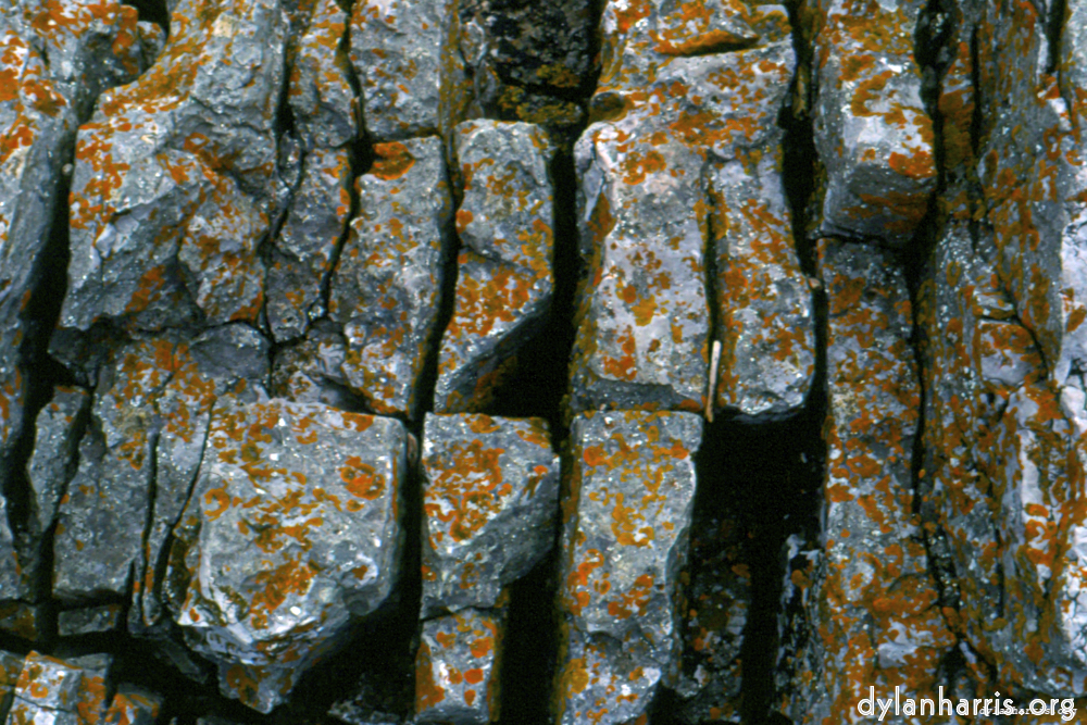 Image 'texture (iii) 18'.