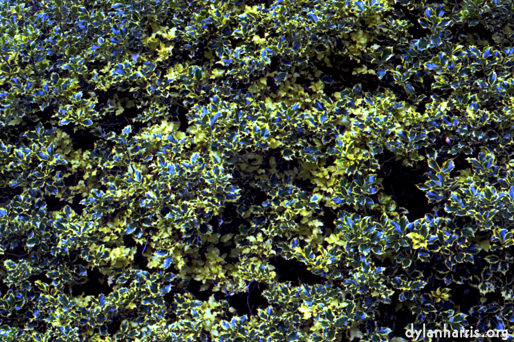 Image: Image 'texture (iii) 19'.