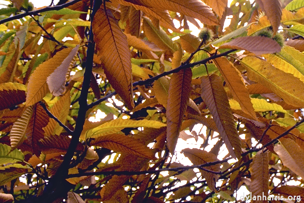 image: This is ‘
texture (iii) (iii) 2
’.