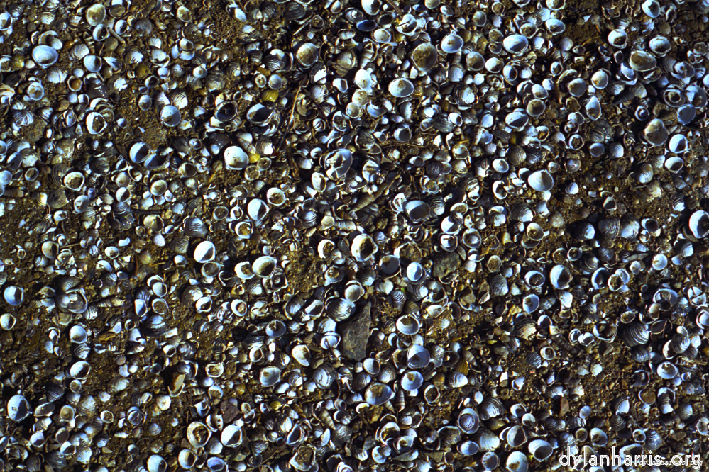 Image 'texture (iii) 20'.