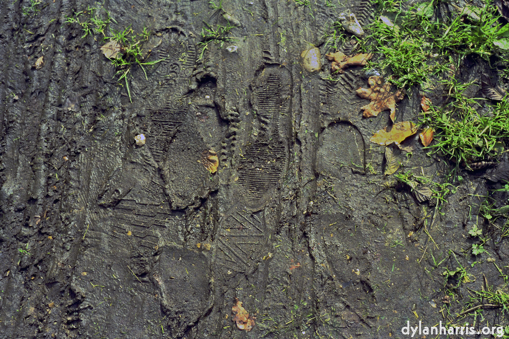 Image: Image 'texture (iii) 3'.