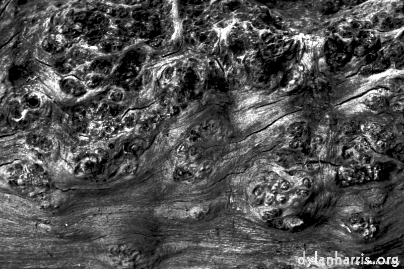 Image 'texture (iii) 4'.